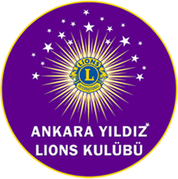 01-ankarayildizlions